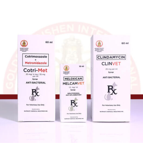 Improving Pet Health: The Importance of Proper Medication and Treatment